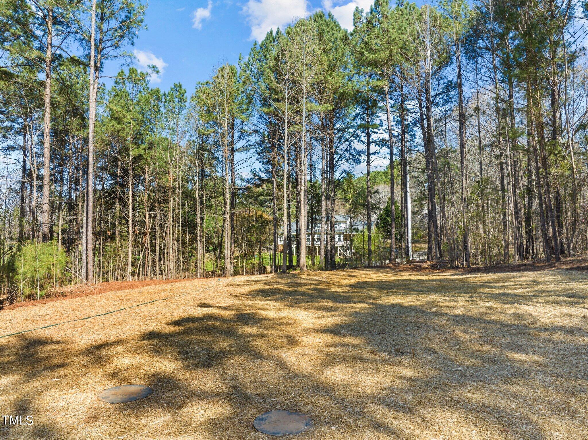 2009 Delphi Way Wake Forest, NC 27587 - Photo 37 of 40 a view of a house with yard and trees