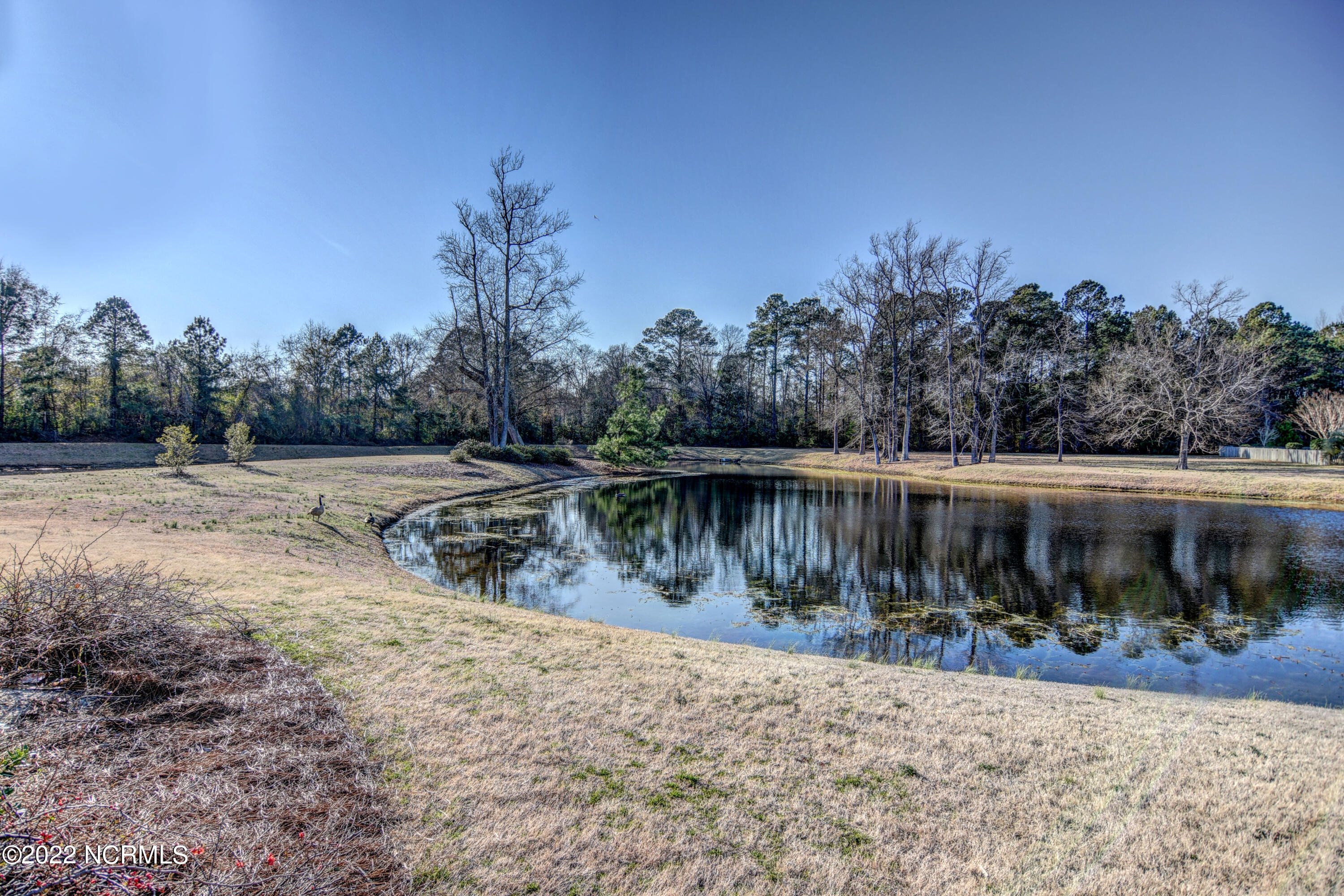 8743 Ramsbury Way Wilmington, NC 28411 - Photo 50 of 62 DSC_1465_6_7