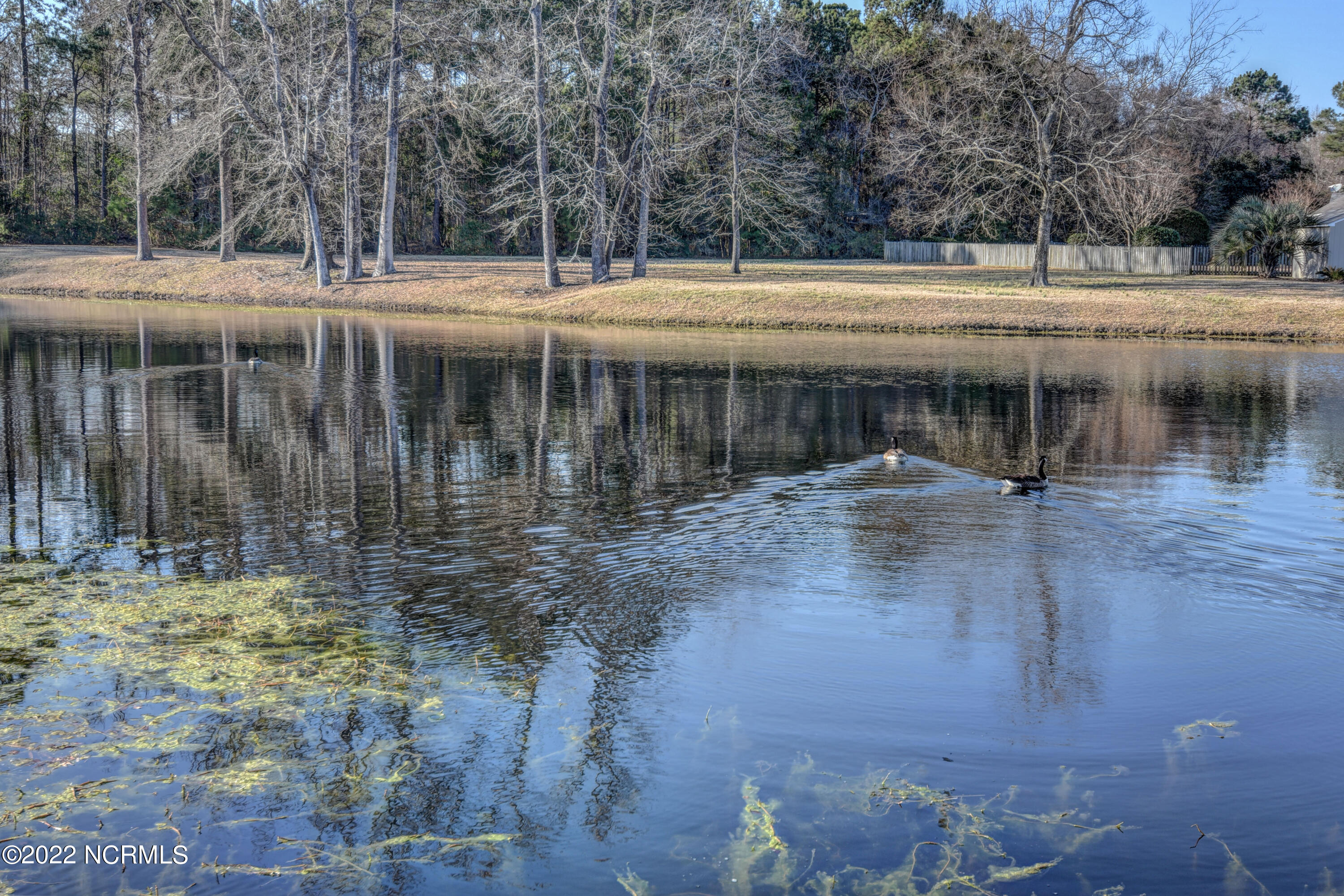 8743 Ramsbury Way Wilmington, NC 28411 - Photo 52 of 62 DSC_1474_5_6