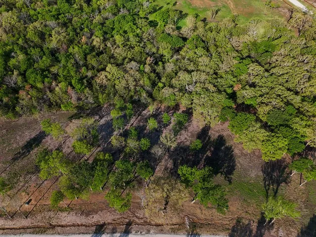 a view of a plants in backyard