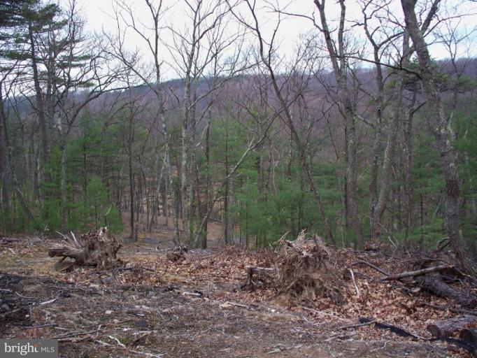 2 McCoy Road Berkeley Springs, WV 25411 - Photo 24 of 24 Adjoining Lot also for sale