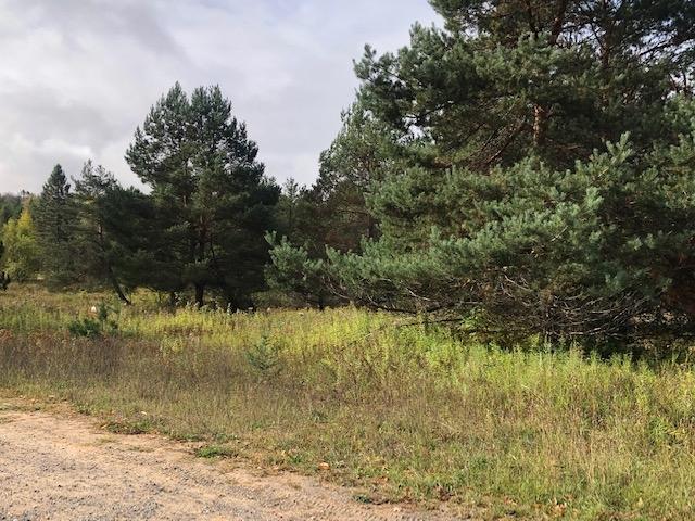 On Strong Road, Unit LOT 11 Phelps, WI 54554 - Photo 4 of 4 Gallery Image 4