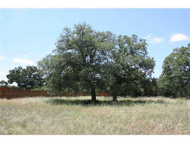 173 Gabriels Loop Georgetown, TX 78628 - Photo 1 of 1 Gallery Image 1
