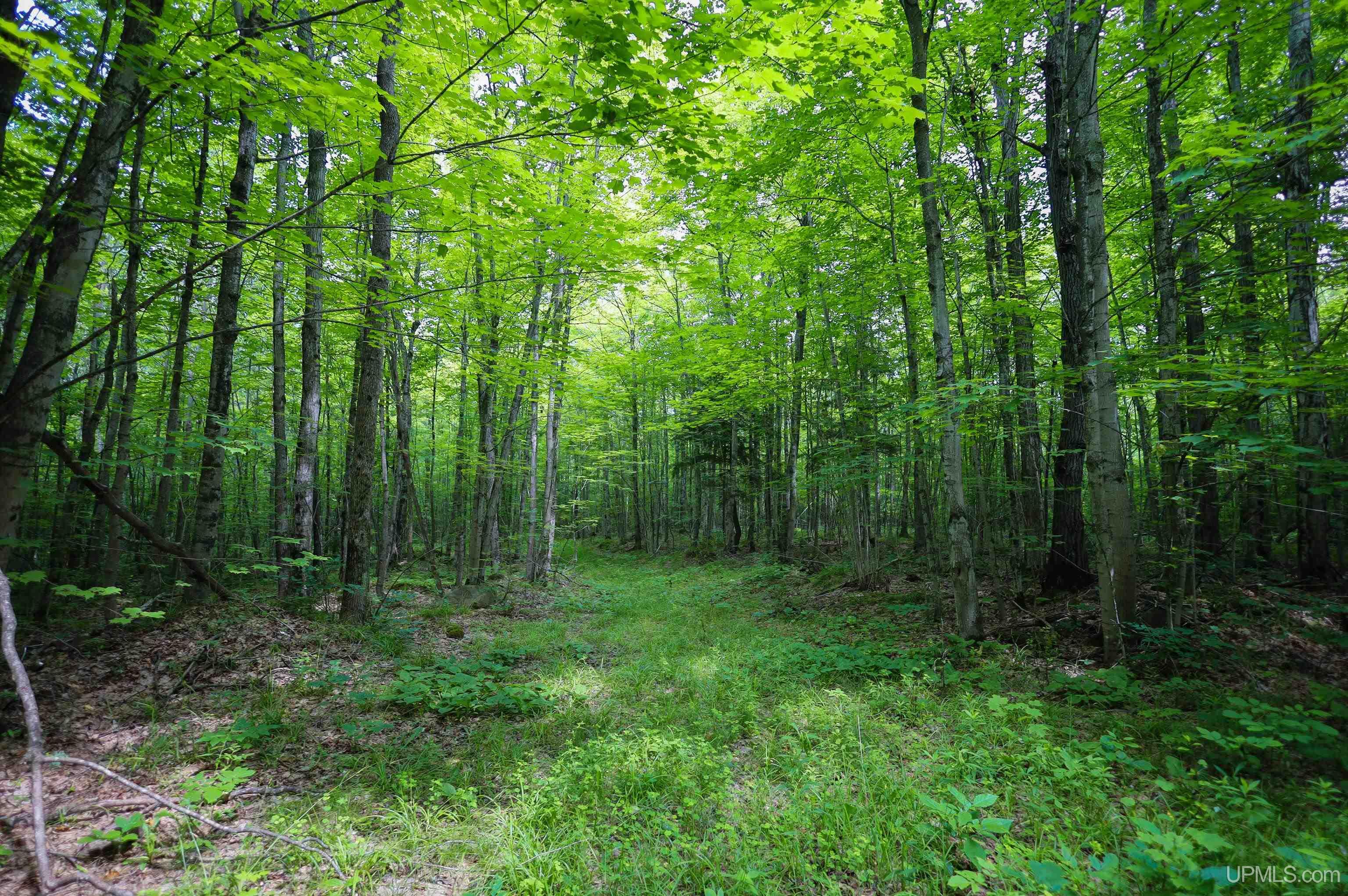 Tbd Sigan Road Marquette, MI 49855 - Photo 10 of 32