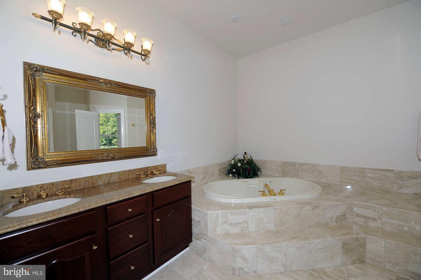 353 Springvale Road Great Falls, VA 22066 - Photo 20 of 30 Bath (Master)