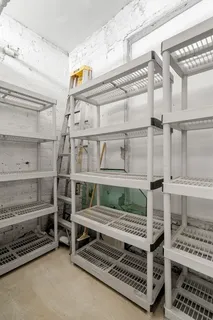 a bedroom with a bunk bed and a window