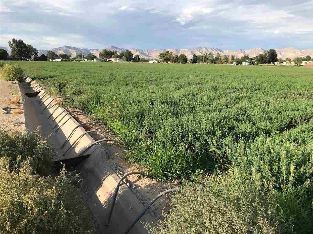 1121 23 Road Grand Junction, CO 81505 - Photo 5 of 16 a view of a city