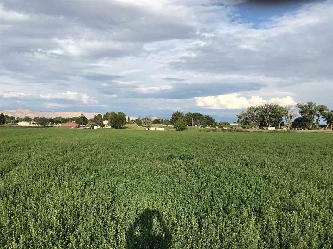 1121 23 Road Grand Junction, CO 81505 - Photo 10 of 16