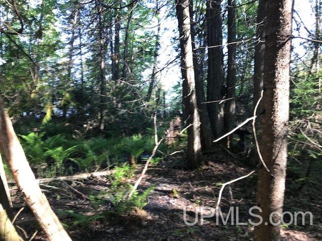 Tbd Gay Lac La Belle Road, Unit 3B Mohawk, MI 49950 - Photo 7 of 15