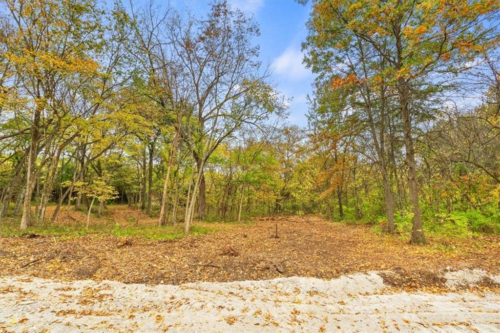 Lot 4 Snyder Road Pleasant Hill, MO 64080 - Photo 20 of 29