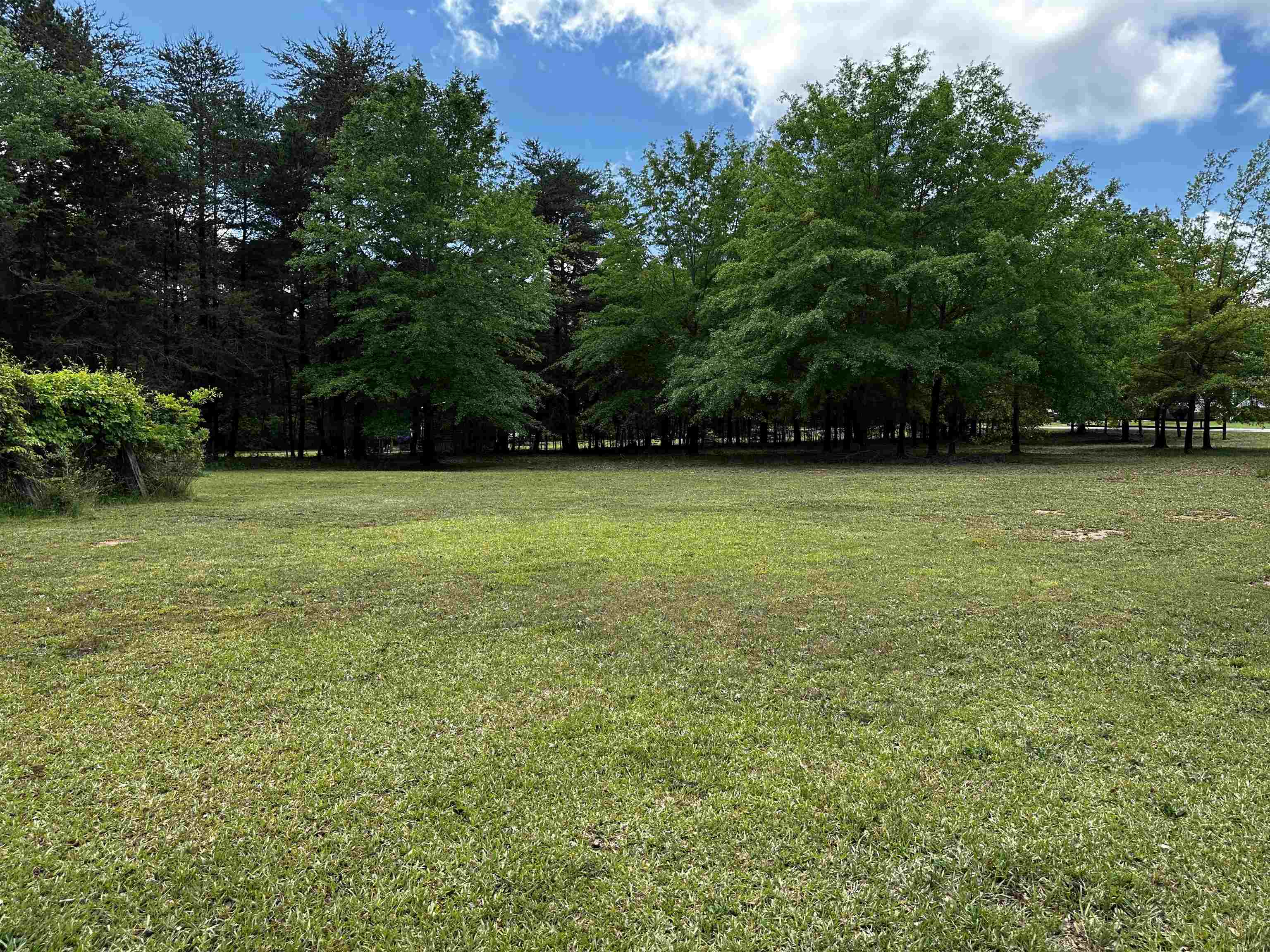 511 Hammett Grove Road Spartanburg, SC 29307 - Photo 4 of 23 Gallery Image 4