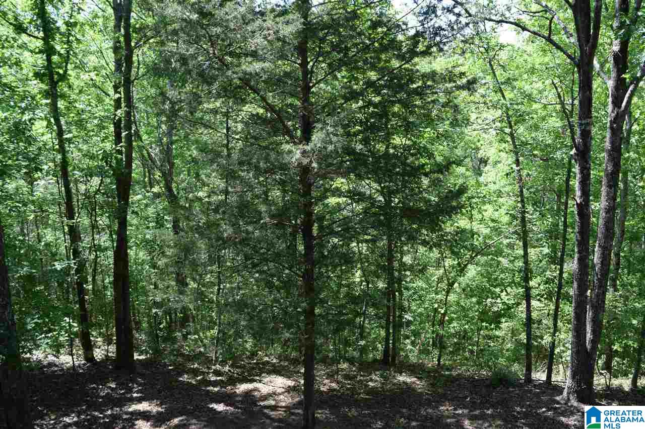 188 Blount Ridge Drive Warrior, AL 35180 - Photo 11 of 39