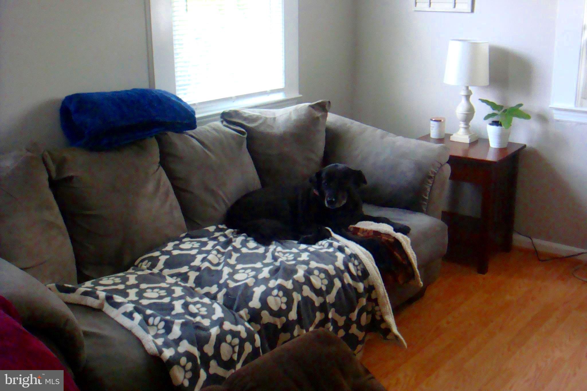 1713 Leslie Road Baltimore, MD 21222 - Photo 3 of 59