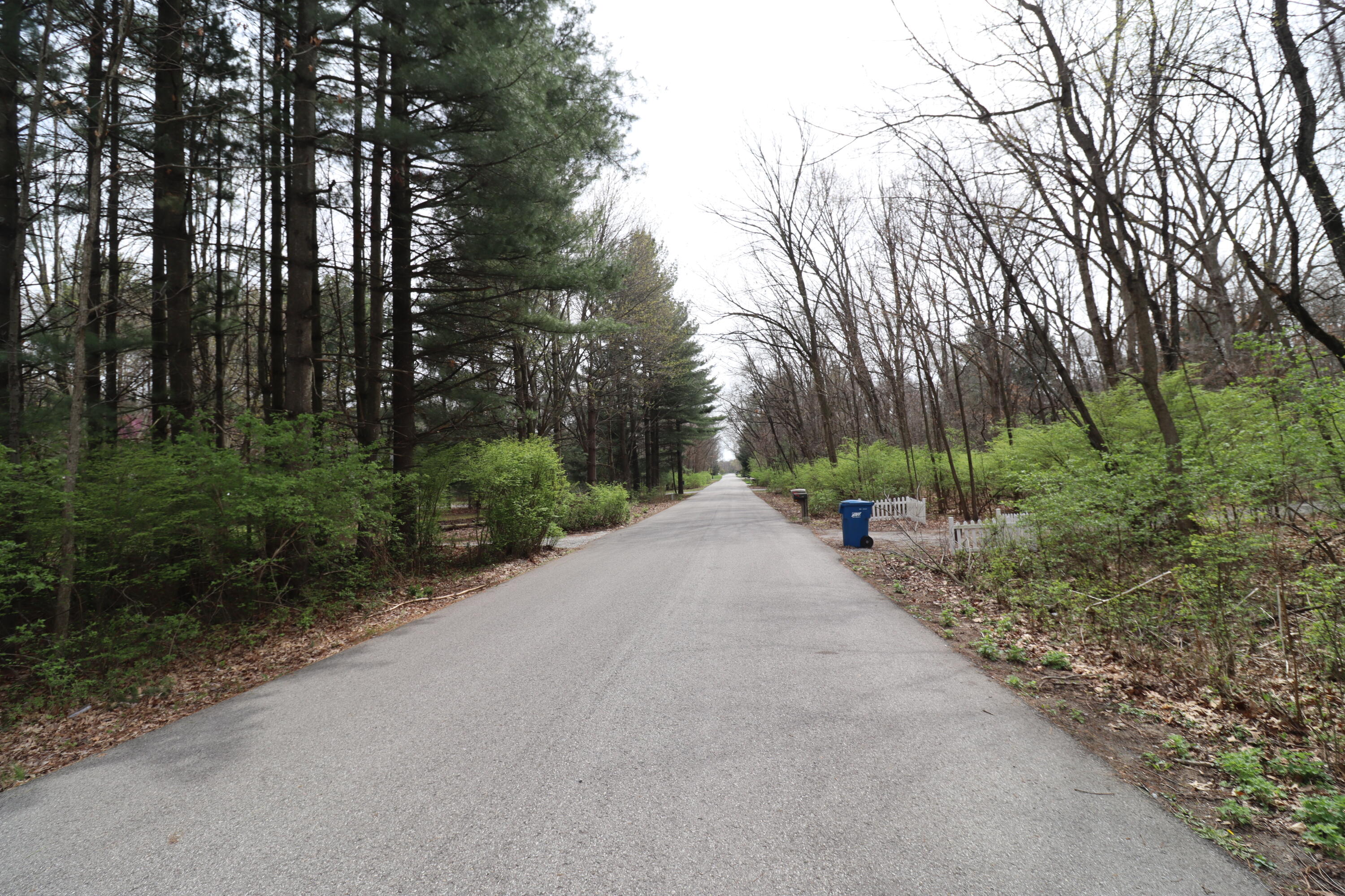 0 East Drive Demotte, IN 46310 - Photo 2 of 3 a view of a road with a trees