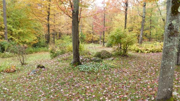 4 Monroe Hill Road Rowe, MA 01367 - Photo 14 of 17 a view of forest