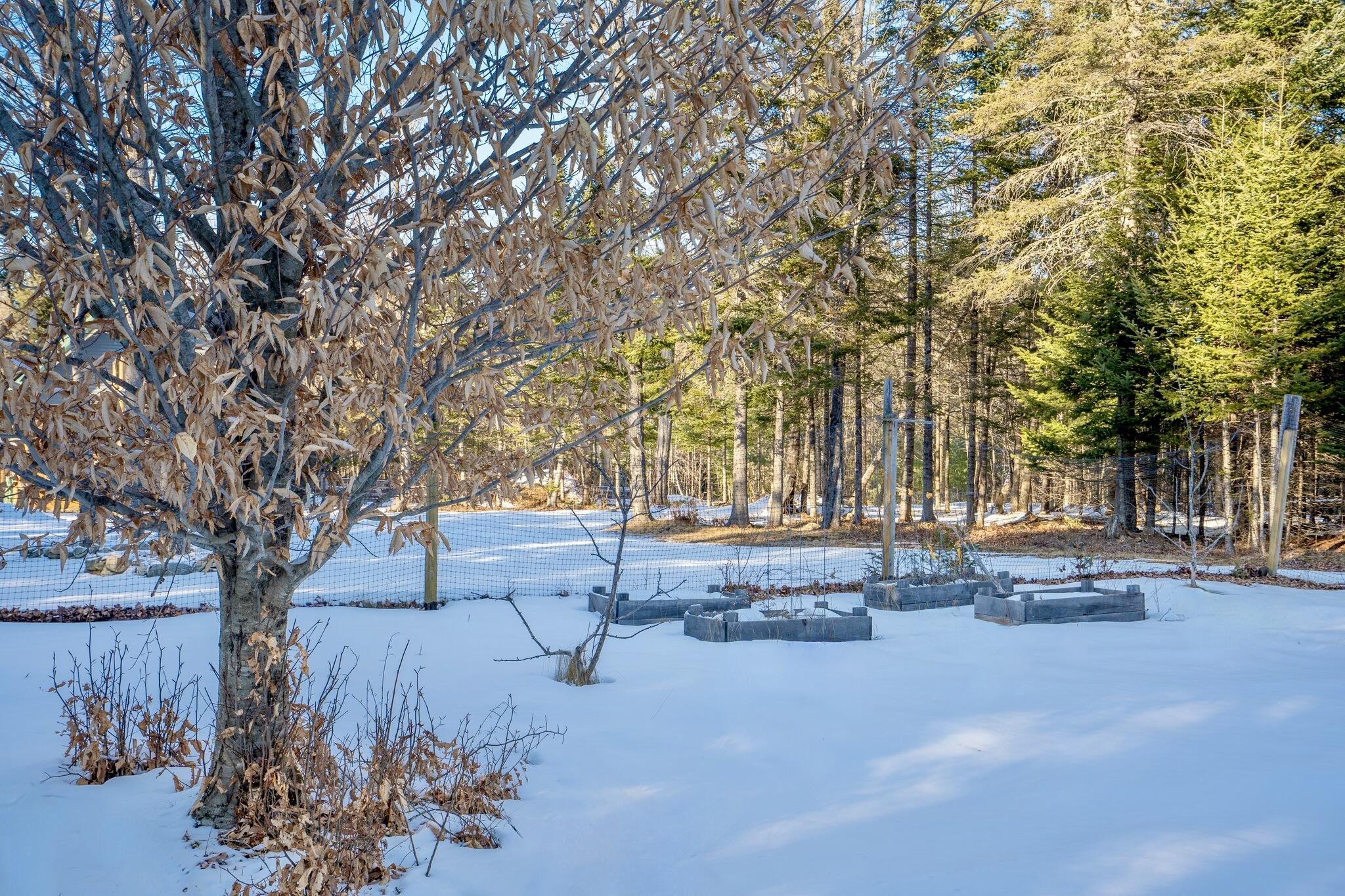 637 Mayhew Road Starks, ME 04911 - Photo 40 of 70 69-web-or-mls-DSC06838