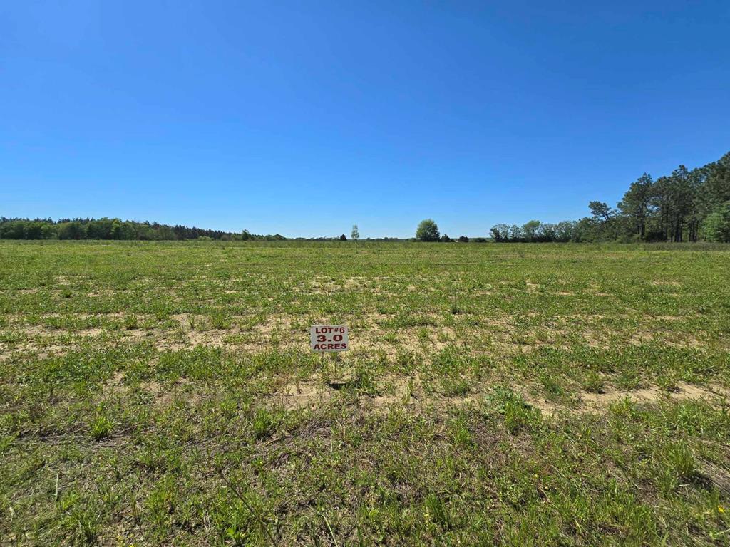 3.17-acres Summer Road Slocomb, AL 36375 - Photo 3 of 8