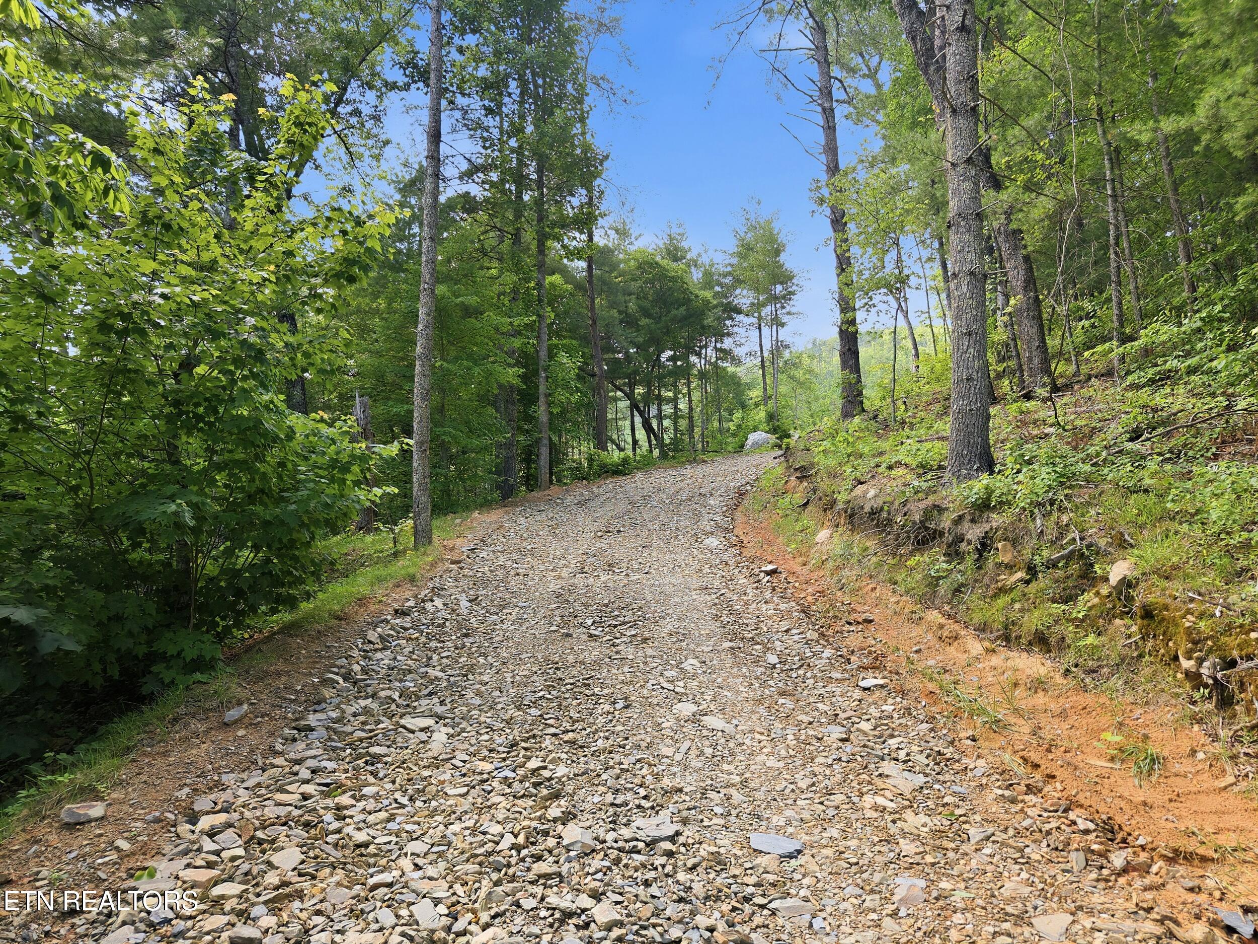 909 The Loop Road Walland, TN 37886 - Photo 17 of 32 14_909_the_loop_rd_0011