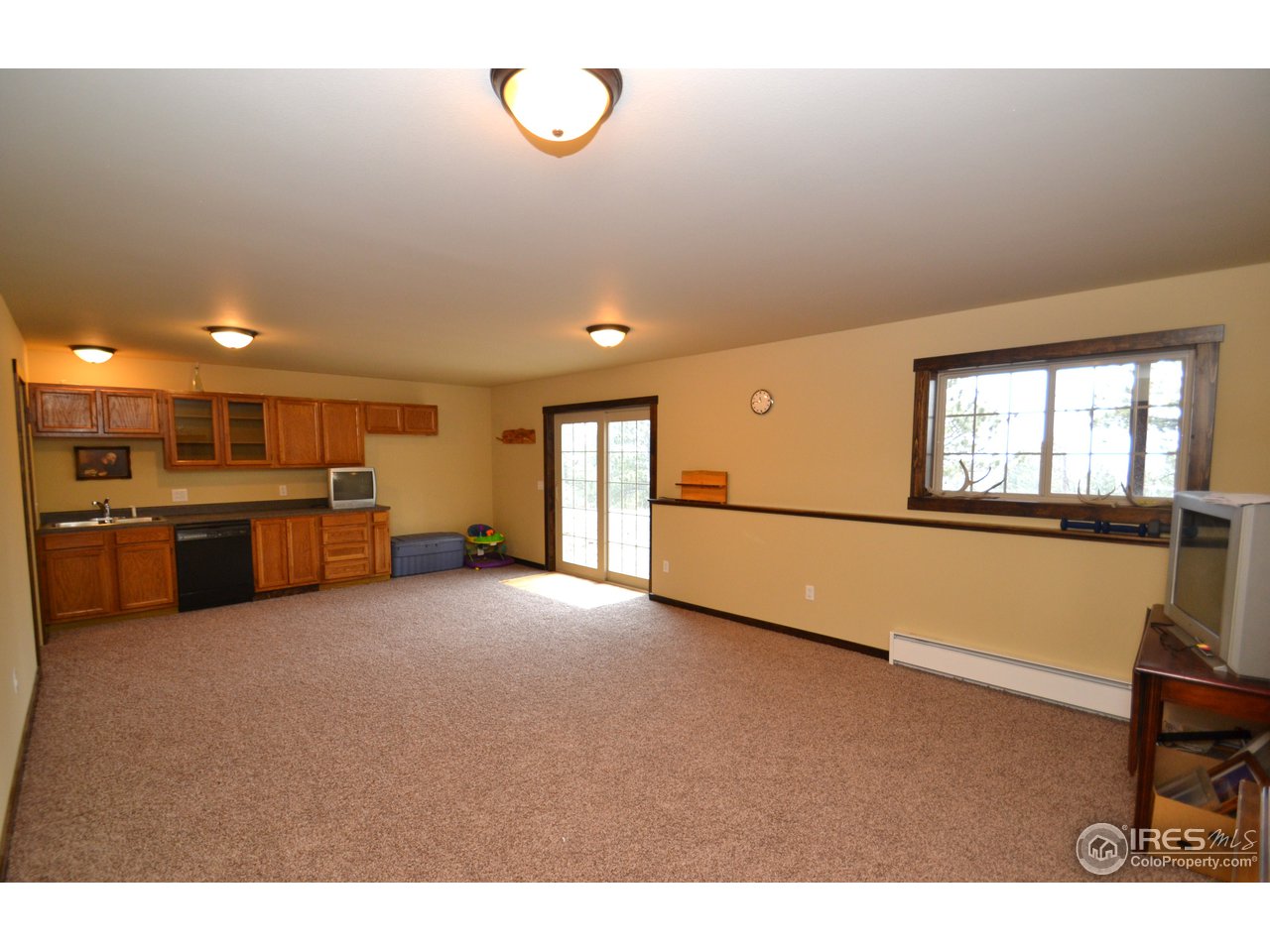 381 Cherokee Road Lyons, CO 80540 - Photo 20 of 25 Family Room with wet bar