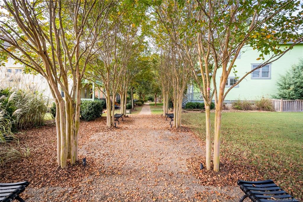 413 Hollyhock Lane Fort Mill, SC 29708 - Photo 23 of 29 a backyard of a house with lots of green space
