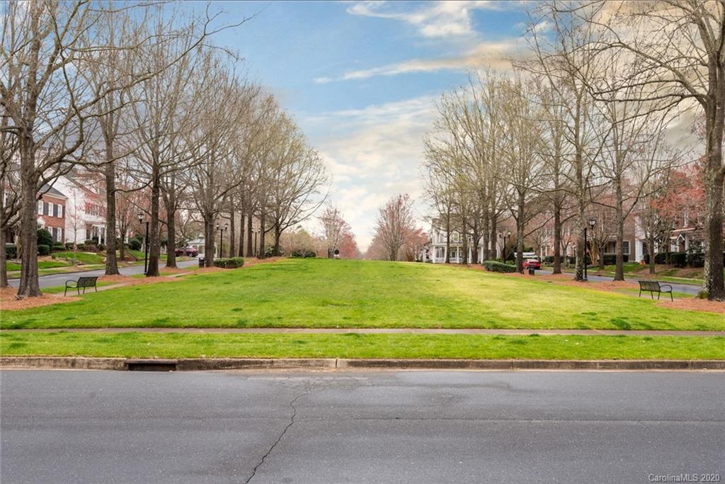 413 Hollyhock Lane Fort Mill, SC 29708 - Photo 28 of 29 a green field with lots of trees