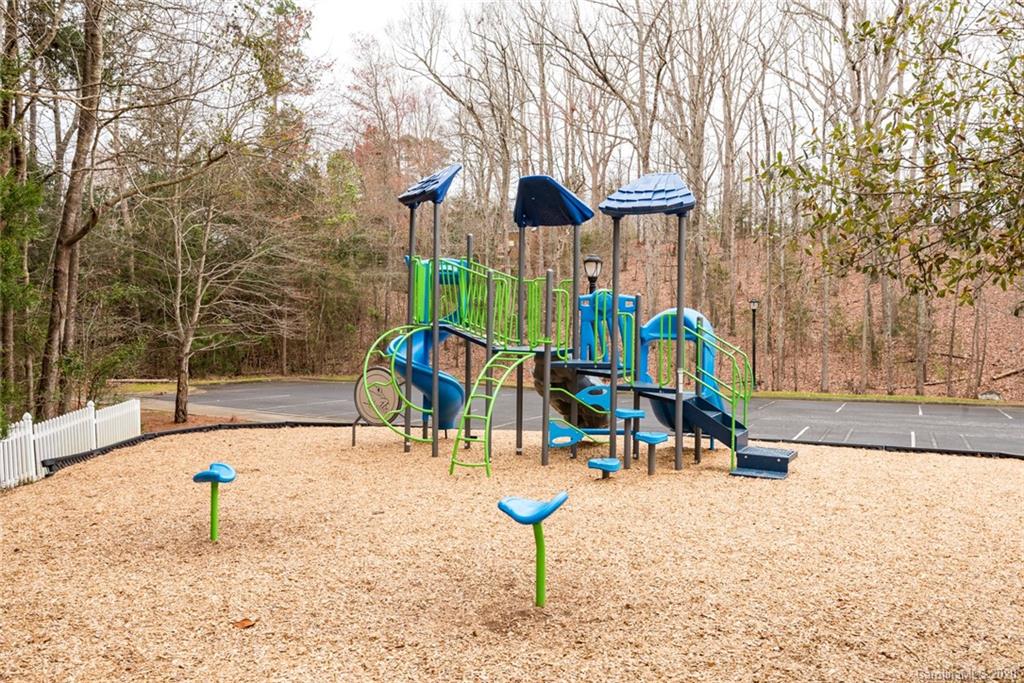 413 Hollyhock Lane Fort Mill, SC 29708 - Photo 29 of 29 a park with slide and large trees