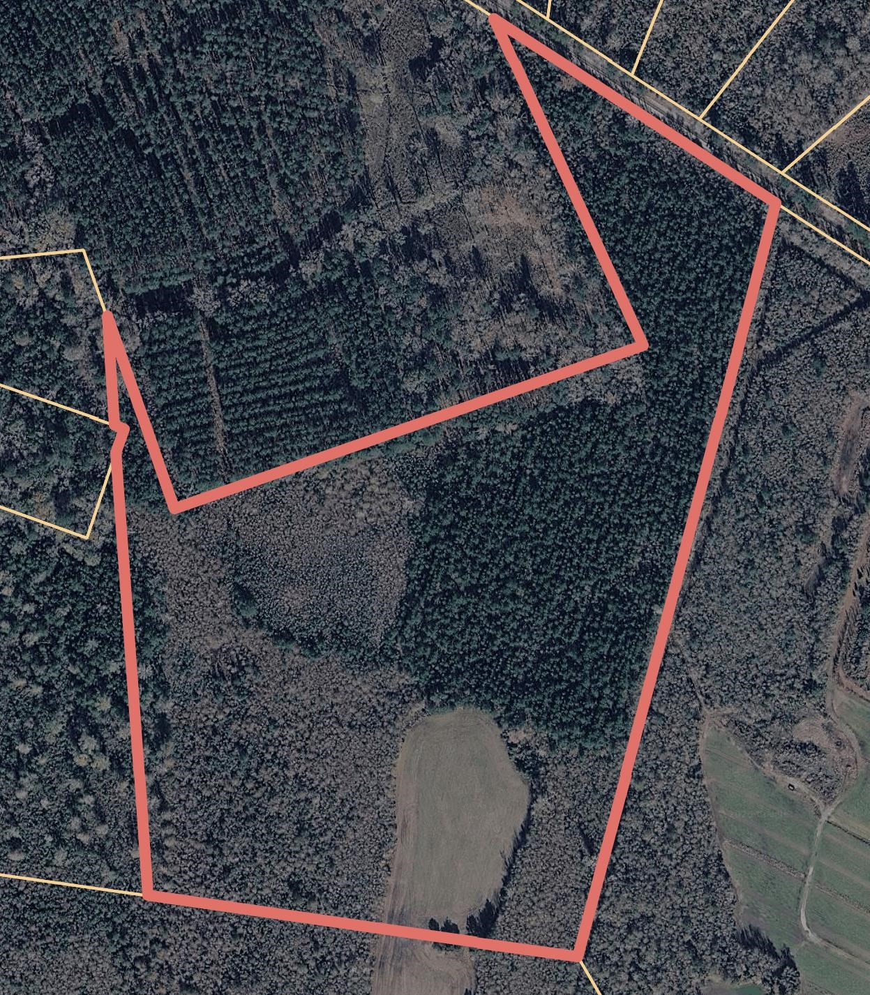 Tbd Tbd Carroll Road Greeleyville, SC 29056 - Photo 5 of 5