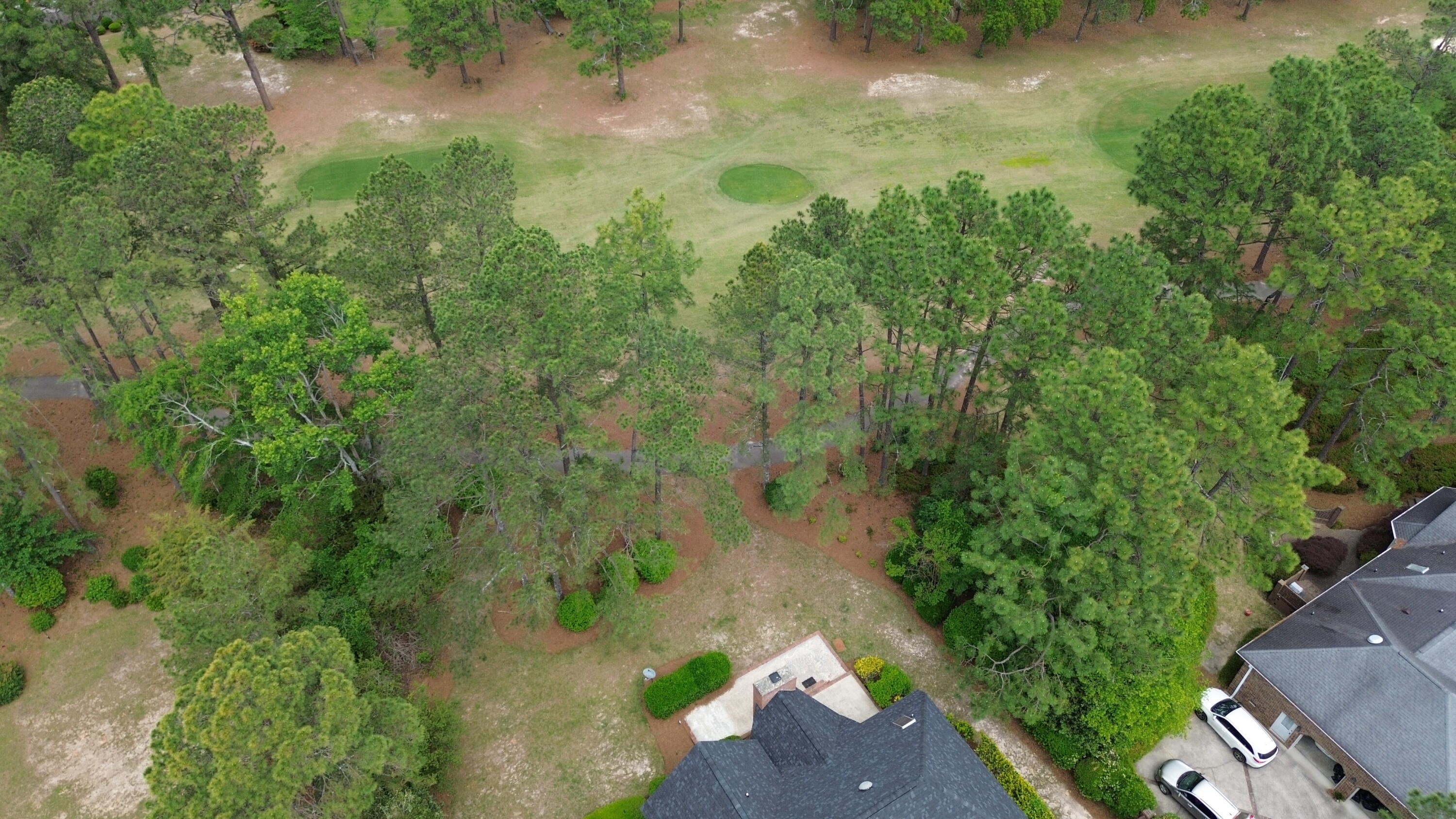 917 Holley Lake Road Aiken, SC 29803 - Photo 66 of 69