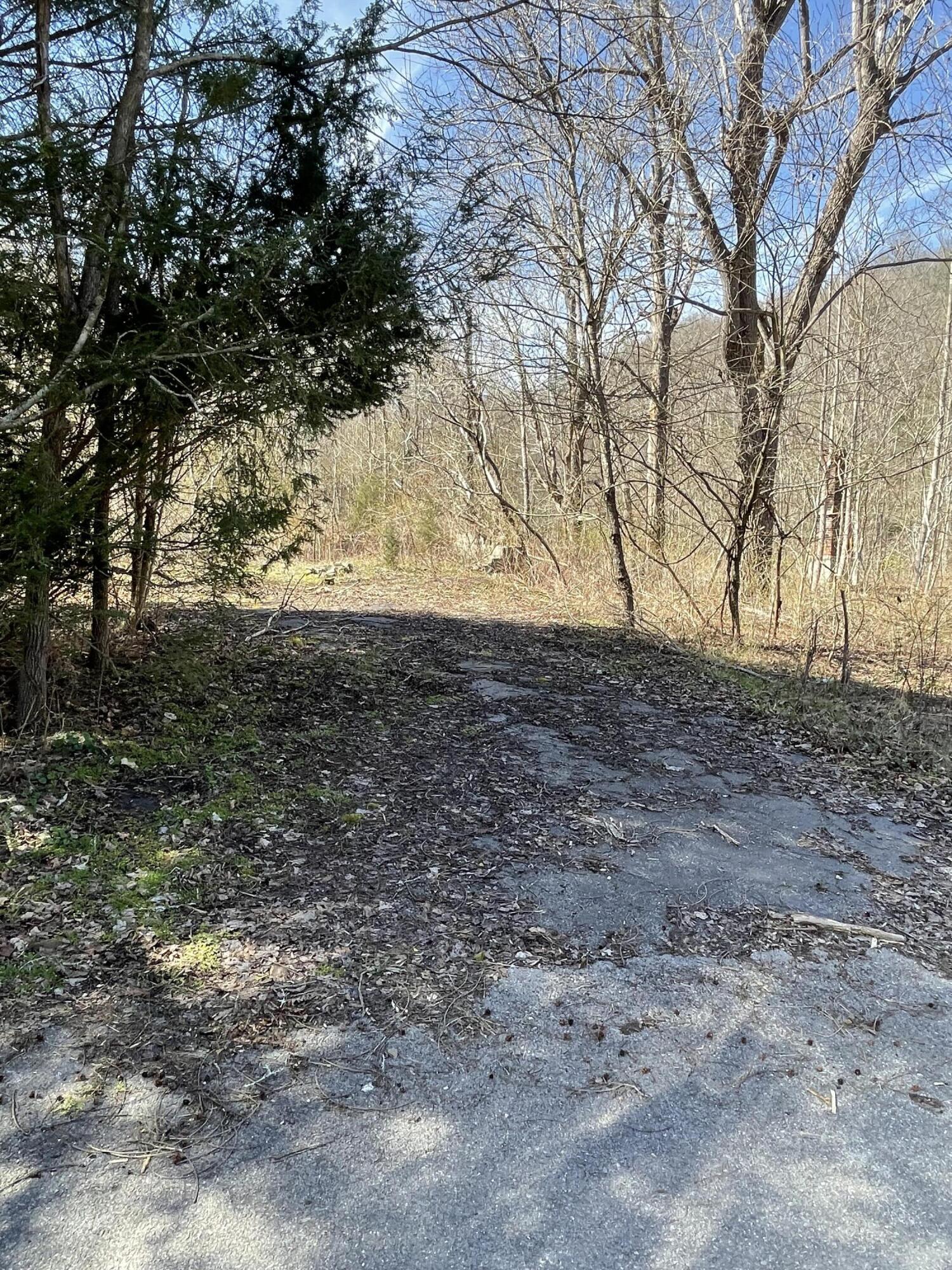 3 A Walkers Branch Road McKee, KY 40447 - Photo 25 of 39 IMG_7753