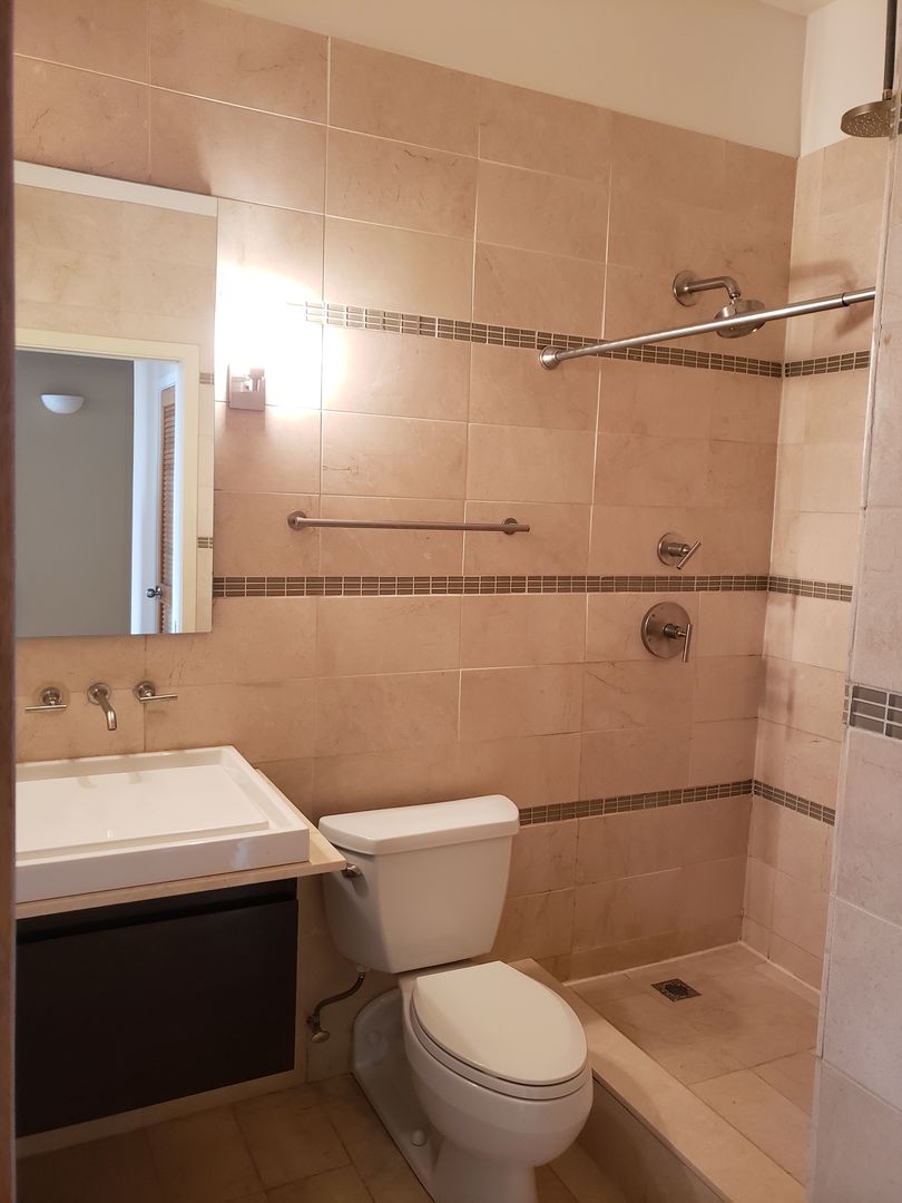 1516 South Wabash Avenue, Unit 508 Chicago, IL 60605 - Photo 13 of 14 a bathroom with a sink a toilet and shower