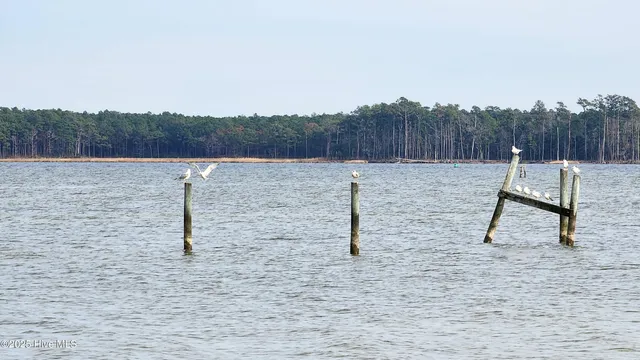 $699,000 | 197 Pamlico Parkway, Beaufort, NC 28516