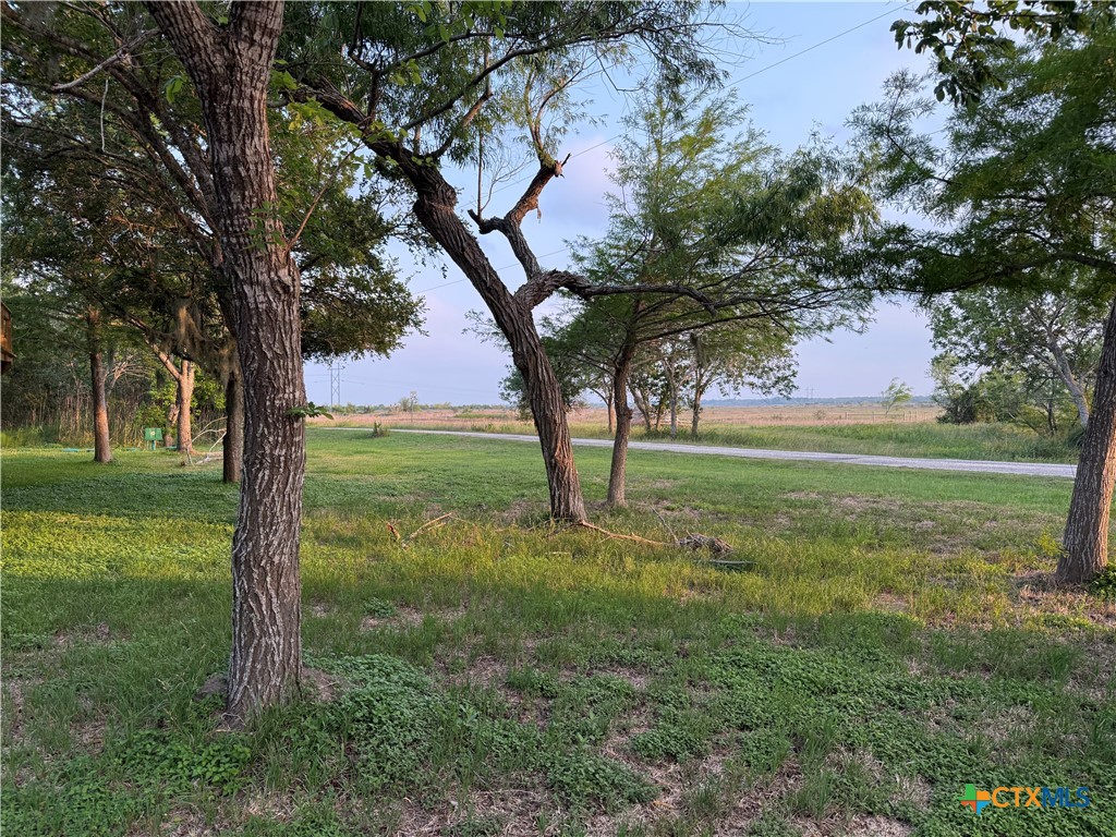 109 River Road Tivoli, TX 77990 - Photo 38 of 39 a view of a trees in a yard