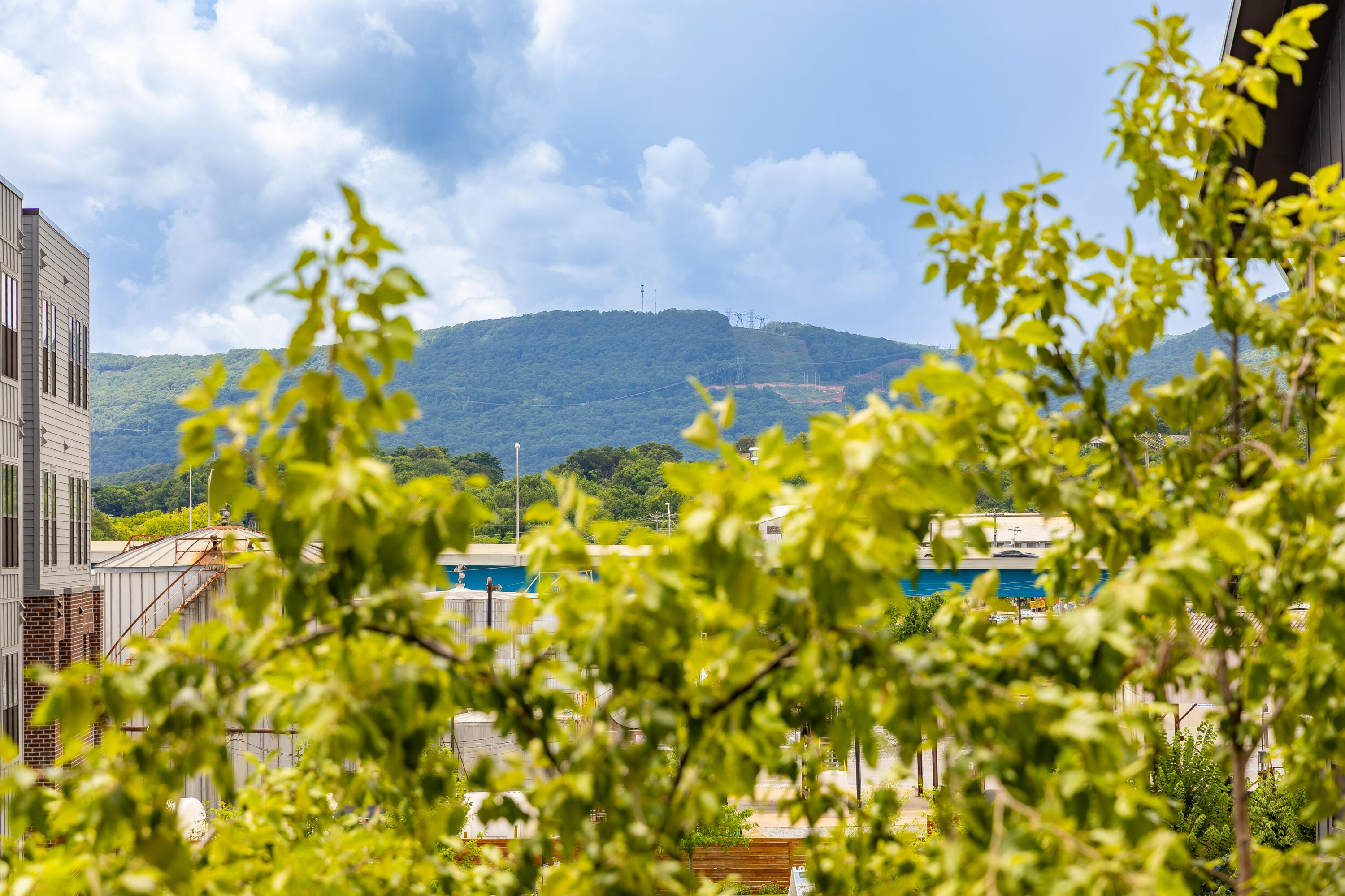 200 Manufacturers Road, Unit 316 Chattanooga, TN 37405 - Photo 24 of 46 Western Views