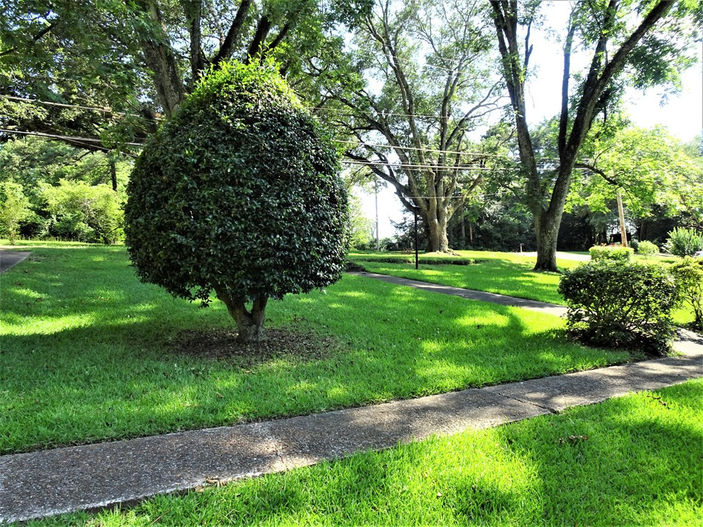 65 North Palestine Road Natchez, MS 39120 - Photo 28 of 29 Photo 28