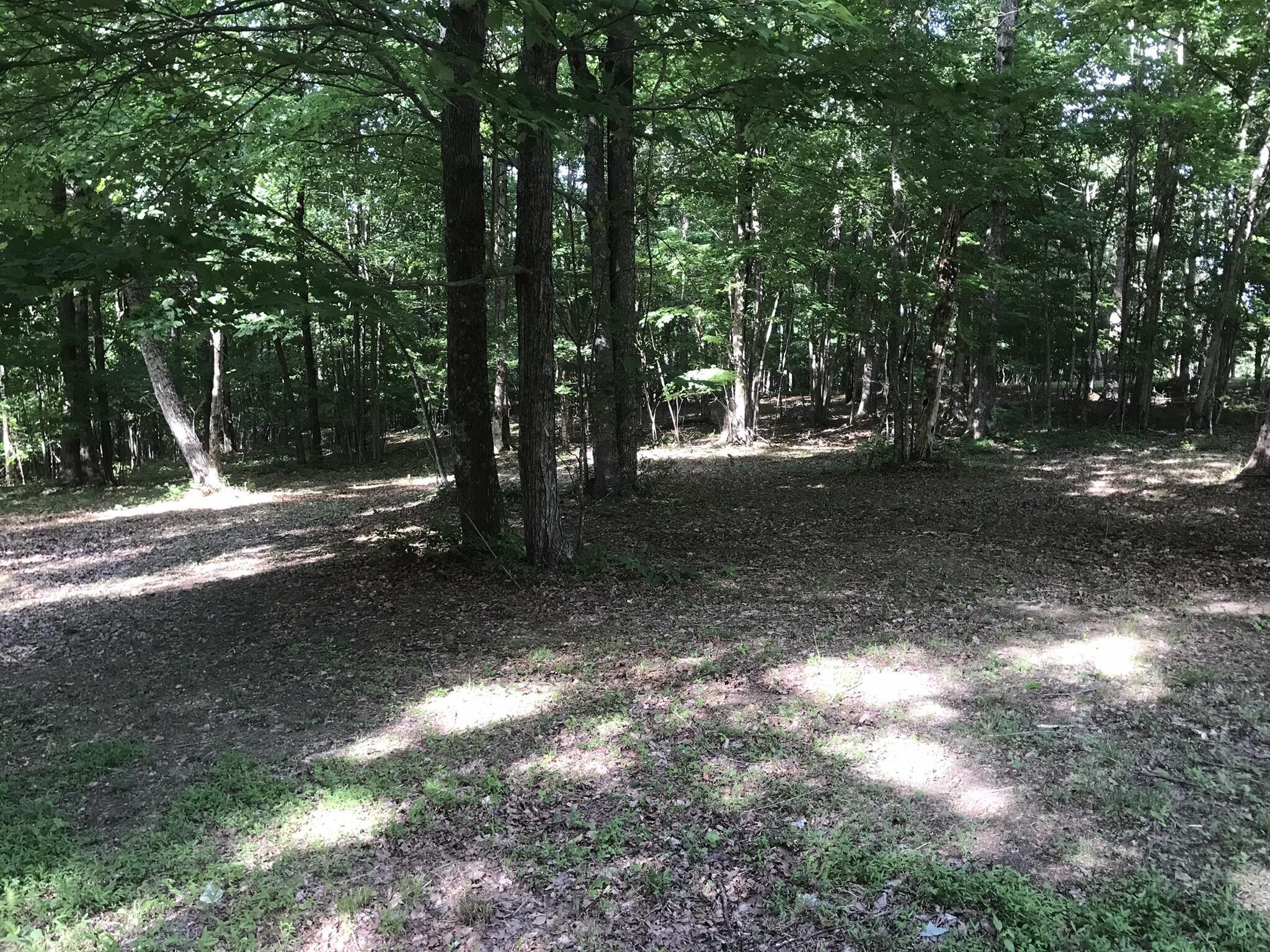 503 Wilderness Way Dunlap, TN 37327 - Photo 11 of 22