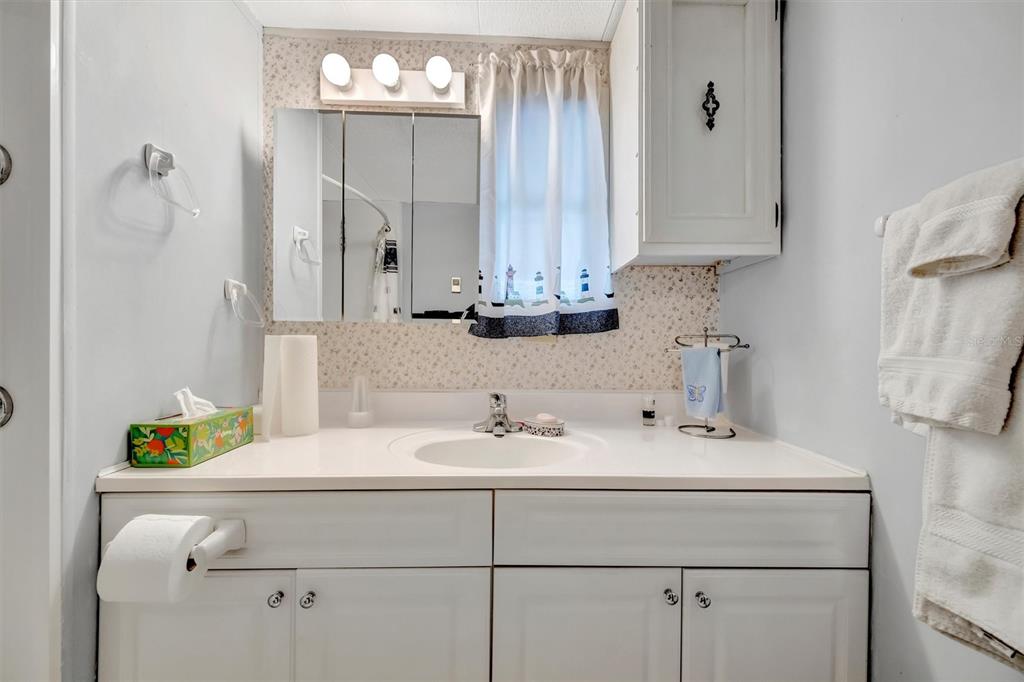 132 West St Lucia Loop Apollo Beach, FL 33572 - Photo 30 of 57 a bathroom with a sink and a mirror