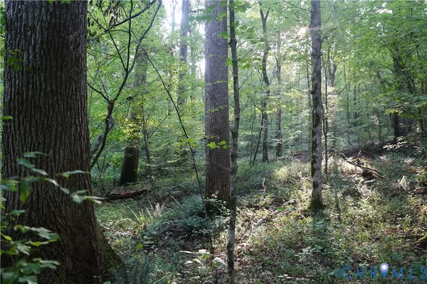 $524,950 | 0 Redlawn Road, Boydton, VA 23917