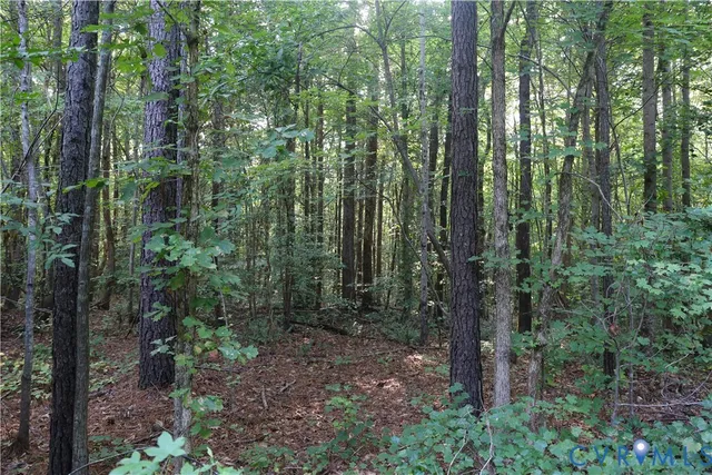 a view of a lake with a city