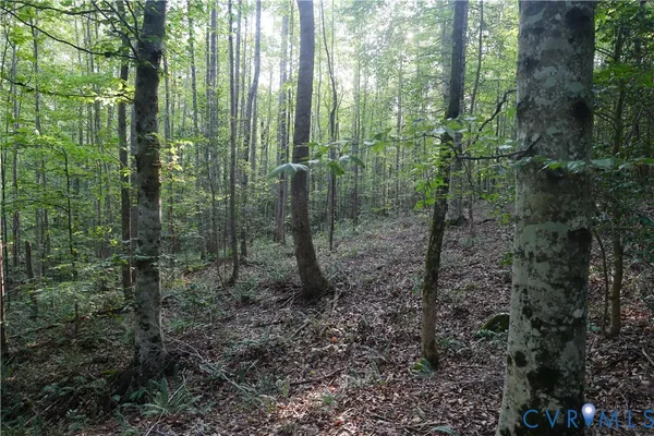 $524,950 | 0 Redlawn Road, Boydton, VA 23917