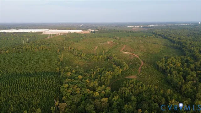 a view of a lush green forest with lots of trees
