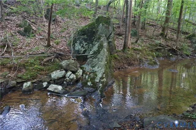 a backyard of a house with lots of trees