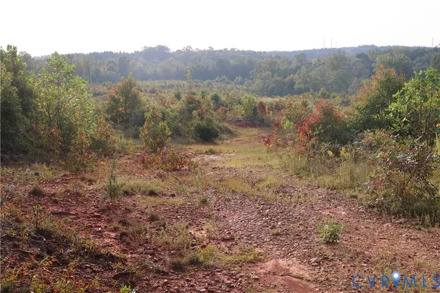 a view of a bunch of trees in a field