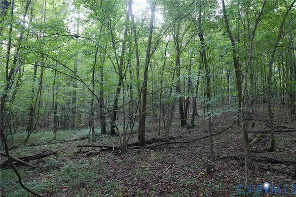 $524,950 | 0 Redlawn Road, Boydton, VA 23917