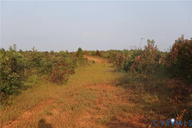 a view of a lake with green forest