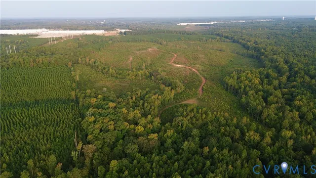 a view of a yard and trees