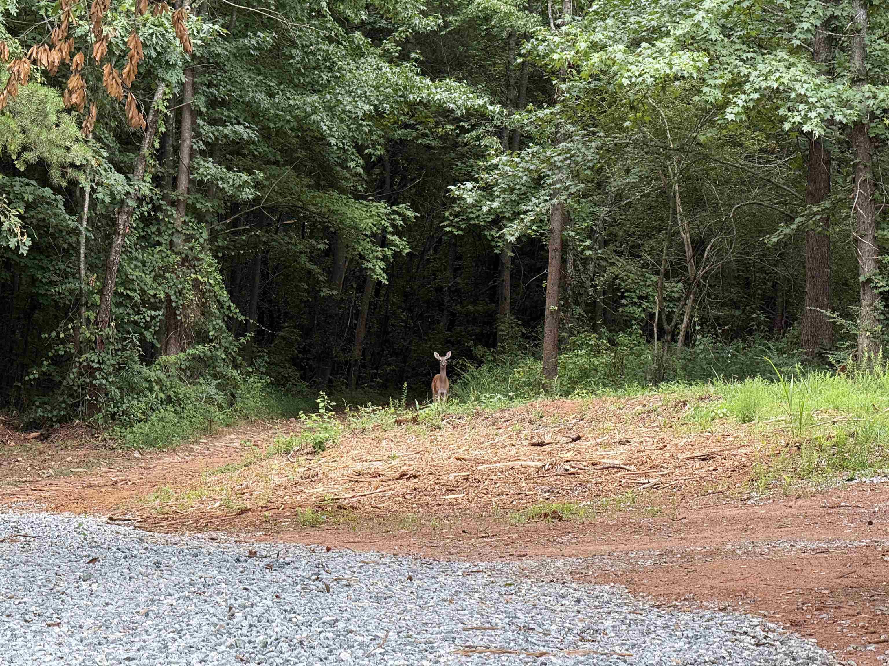 0 Fagan Drive Inman, SC 29349 - Photo 11 of 16 Gallery Image 11