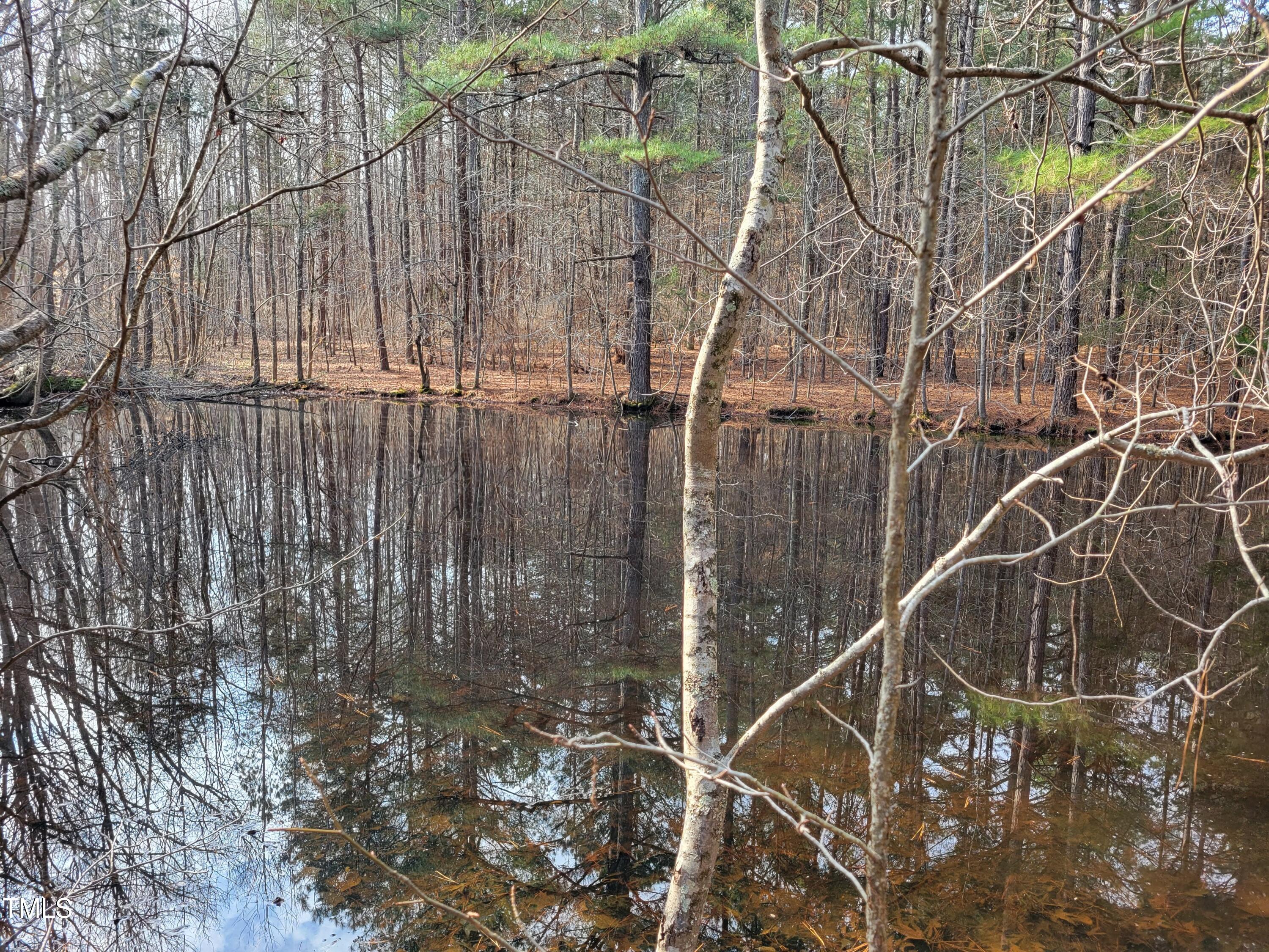 Tbd Siler City Snow Camp Road Siler City, NC 27344 - Photo 25 of 56 20250206_144419