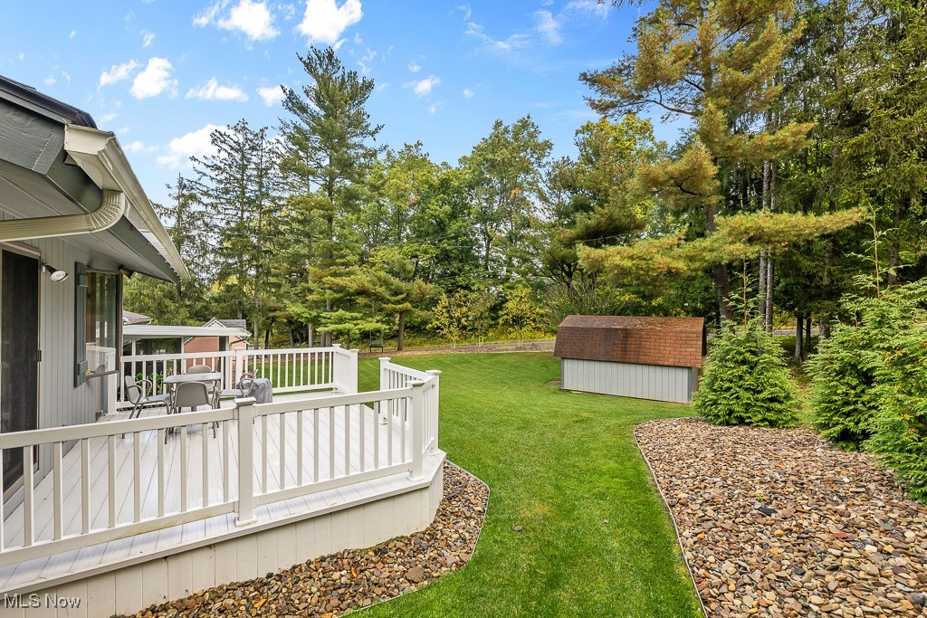 4910 Rootstown Road Ravenna, OH 44266 - Photo 39 of 50 Backyard