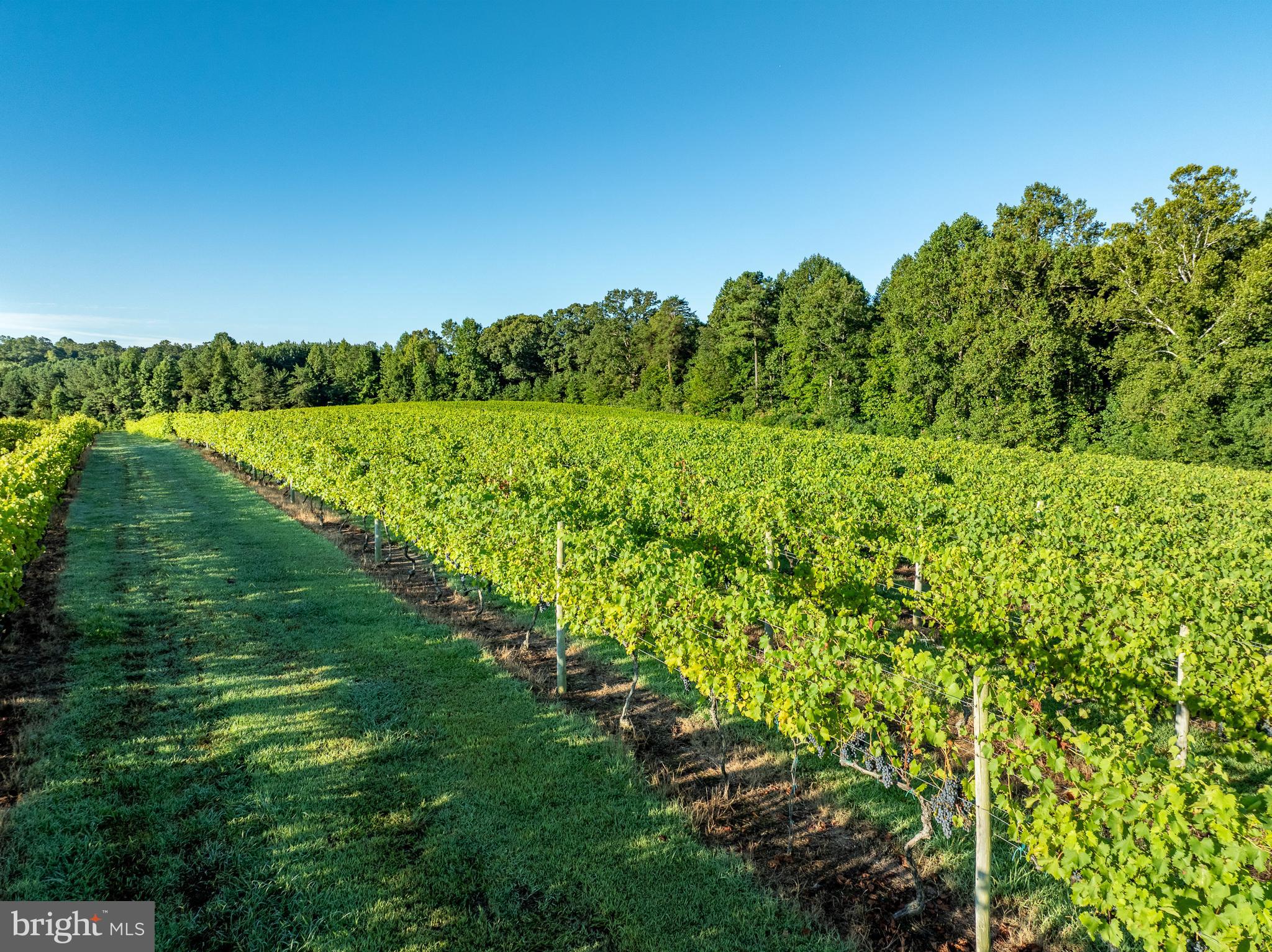 1025 Goodluck Road Lancaster, VA 22503 - Photo 103 of 132