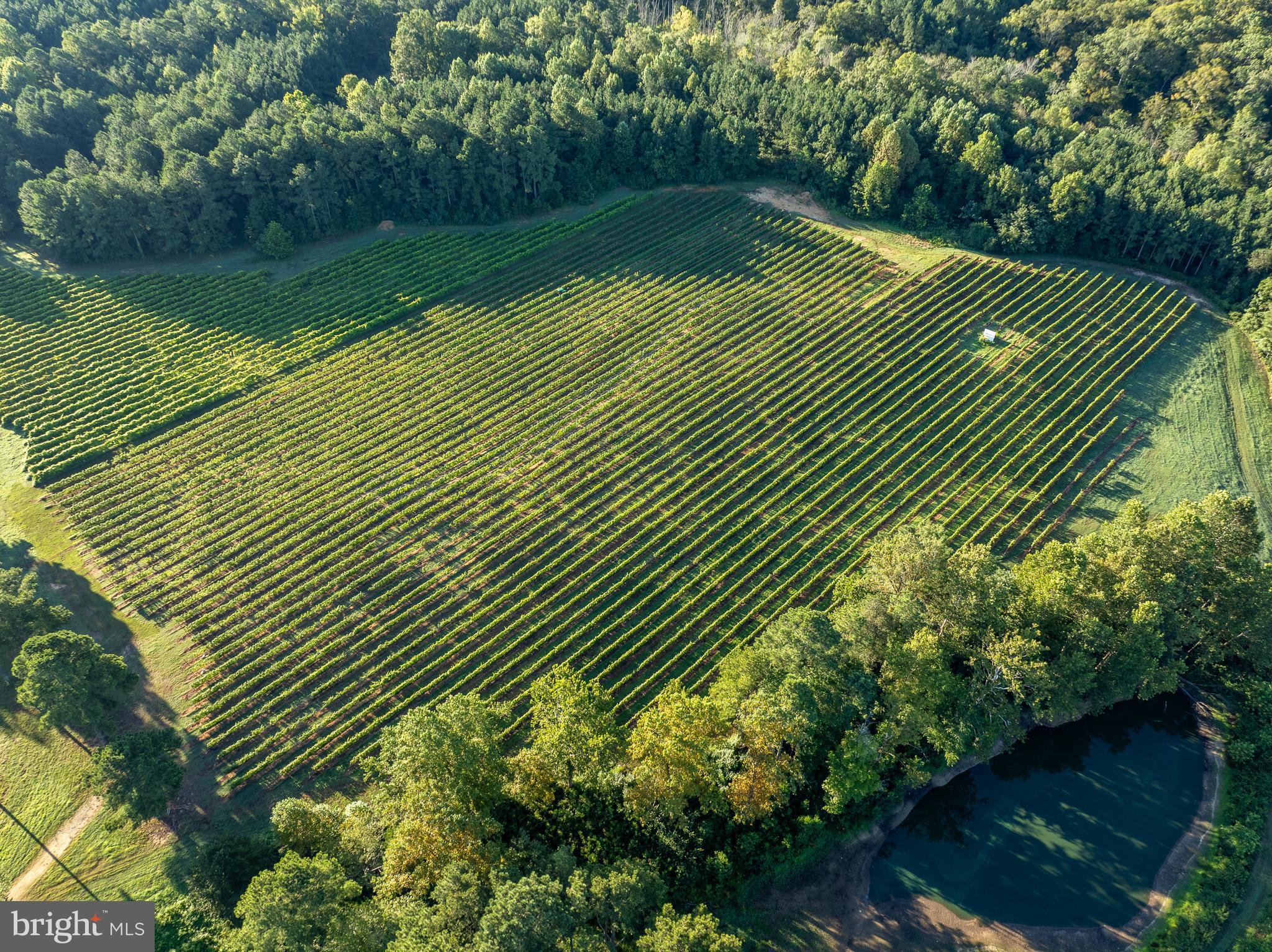 1025 Goodluck Road Lancaster, VA 22503 - Photo 104 of 132